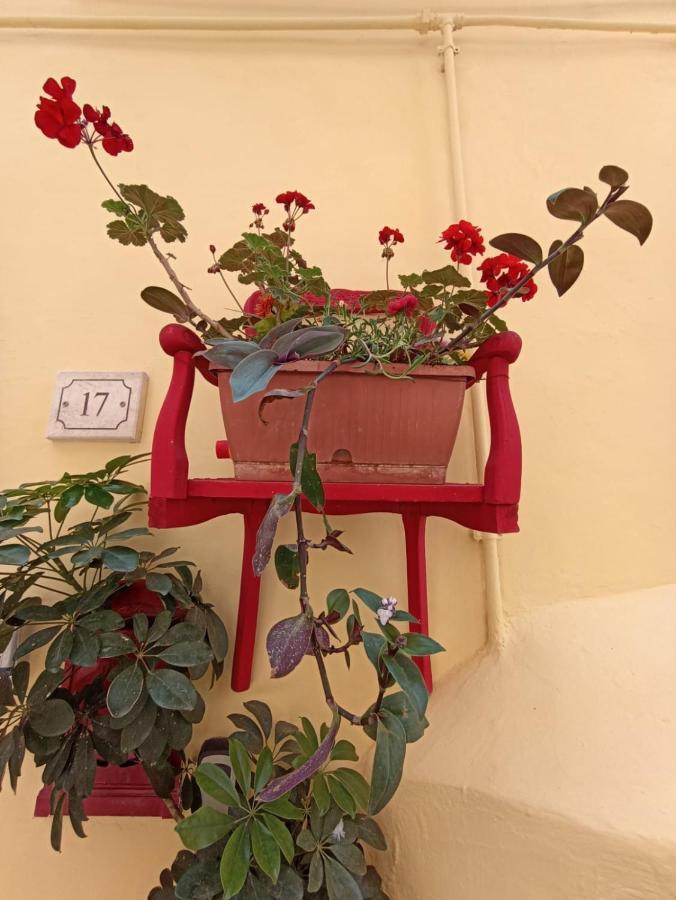 Central Gh Zinnowitz Dış mekan fotoğraf